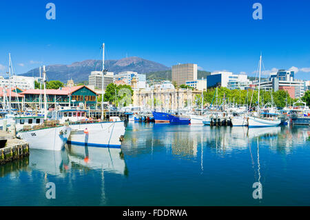 Victoria Dock à Hobart, Tasmanie avec bateaux de pêche sur une journée ensoleillée Banque D'Images