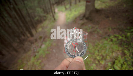 Trouver la bonne position dans la forêt avec une boussole Banque D'Images