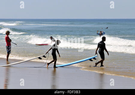 Les surfeurs. Biscarrosse Plage, Landes, Aquitaine, sud-ouest de la France. Banque D'Images