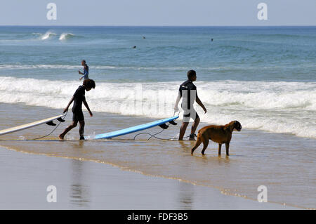 Les surfeurs. Biscarrosse Plage, Landes, Aquitaine, sud-ouest de la France. Banque D'Images