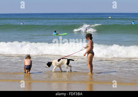 Biscarrosse Plage, Landes, Aquitaine, sud-ouest de la France. Banque D'Images