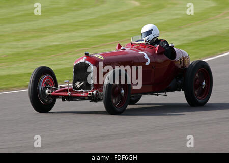 Alfa Romeo tipo B racing à Goodwood Revival 2015. Banque D'Images