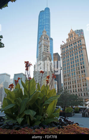 Chicago, Illinois, USA : canal Croisière sur la rivière Chicago, à la recherche jusqu'à la Trump Tower, le célèbre monument du nom de Donald Trump, gratte-ciel emblématique Banque D'Images