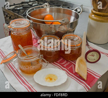 Équipement de fabrication de confiture dans la cuisine Banque D'Images