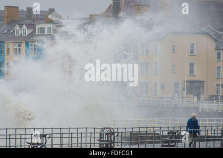 Aberystwyth, Pays de Galles, Royaume-Uni. 31 janvier, 2016. Que Storm Gertrude cède son endroit à l'autre du nom de système de tempête, tempête Henry, d'énormes vagues continuent de battre le littoral et mer défenses dans Aberystwyth, sur la baie de Cardigan, l'ouest du pays de Galles. Des vents très violents et de fortes pluies sont prévues d'affecter une grande partie du nord de l'Angleterre et l'Ecosse le lundi et mardi, avec Met Office et de l'ambre jaune mises en garde déjà en place Crédit photo : Keith morris/Alamy Live News Banque D'Images