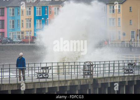 Aberystwyth, Pays de Galles, Royaume-Uni. 31 janvier, 2016. Que Storm Gertrude cède son endroit à l'autre du nom de système de tempête, tempête Henry, d'énormes vagues continuent de battre le littoral et mer défenses dans Aberystwyth, sur la baie de Cardigan, l'ouest du pays de Galles. Des vents très violents et de fortes pluies sont prévues d'affecter une grande partie du nord de l'Angleterre et l'Ecosse le lundi et mardi, avec Met Office et de l'ambre jaune mises en garde déjà en place Crédit photo : Keith morris/Alamy Live News Banque D'Images