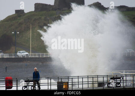 Aberystwyth, Pays de Galles, Royaume-Uni. 31 janvier, 2016. Que Storm Gertrude cède son endroit à l'autre du nom de système de tempête, tempête Henry, d'énormes vagues continuent de battre le littoral et mer défenses dans Aberystwyth, sur la baie de Cardigan, l'ouest du pays de Galles. Des vents très violents et de fortes pluies sont prévues d'affecter une grande partie du nord de l'Angleterre et l'Ecosse le lundi et mardi, avec Met Office et de l'ambre jaune mises en garde déjà en place Crédit photo : Keith morris/Alamy Live News Banque D'Images