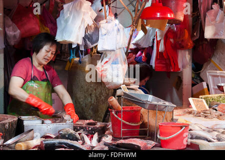 Un fishwife dans sa boutique dans le marché du rouge à Macao, Chine. Banque D'Images