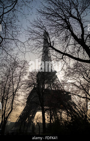 Une vue sur la Tour Eiffel avec le soleil derrière, à travers les arbres à proximité. Banque D'Images