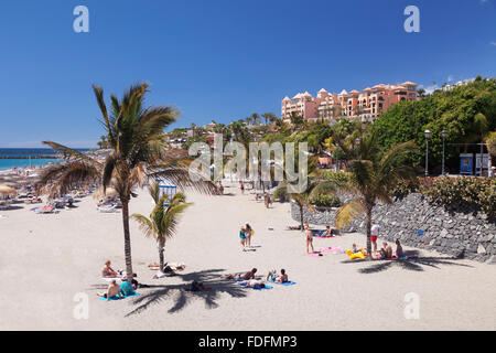 La plage Playa del Duque, Costa Adeje, Tenerife, Canaries, Espagne Banque D'Images