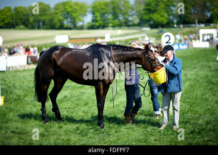 L'juste après la race, Lockinge, point à point Banque D'Images