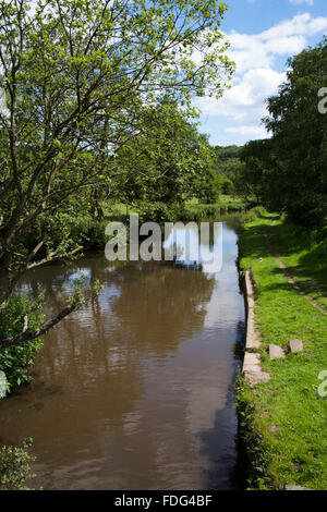 La rivière Churnet partie de la navigation entre Cheddleton Caldon et Consall Churnet Valley Staffordshire England Banque D'Images