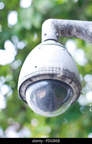 Surveillance Camera (caméra CCTV Dome) Banque D'Images