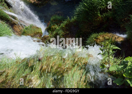 Chute d'eau dans les lacs de Plitvice en détail Banque D'Images