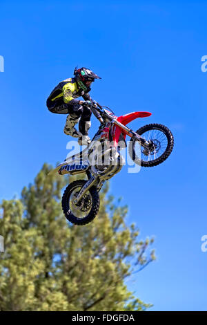 Membre de l'Bolddog Lings Freestyle Motocross Afficher équipe fait des acrobaties à la Wilton House 2015 Classic & Supercar Show. Banque D'Images