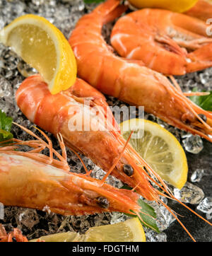 Crevettes cuites servies sur pierre noire Banque D'Images