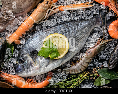 Fruits de mer servis sur pierre noire Banque D'Images