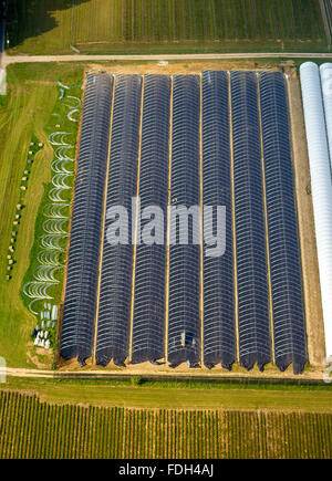 L'air, émissions, Bottrop, la Ruhr, Kirchhellen, Rhénanie du Nord-Westphalie, Allemagne, Europe, vue aérienne, les oiseaux-lunettes vue aérienne, Banque D'Images