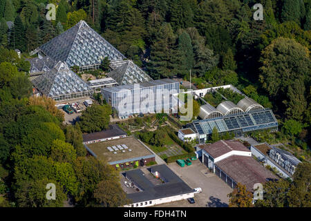 Vue aérienne, Essen Grugapark, Pluie Maison Forestière, les jardins botaniques, les pyramides de verre, Essen, Ruhr, Rhénanie du Nord-Westphalie, Allemagne Banque D'Images