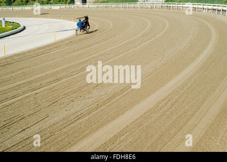 Hippodrome. Course de trot Banque D'Images