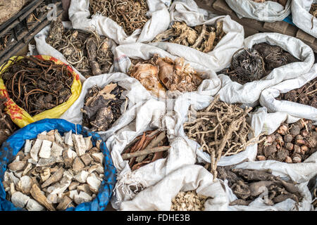 Les herbes médicinales pour la vente à la production de gros Manzini et marché artisanal au Swaziland, l'Afrique Banque D'Images