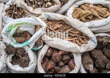 Les herbes médicinales pour la vente à la production de gros Manzini et marché artisanal au Swaziland, l'Afrique Banque D'Images