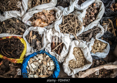 Les herbes médicinales pour la vente à la production de gros Manzini et marché artisanal au Swaziland, l'Afrique Banque D'Images