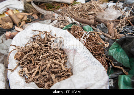 Les herbes médicinales pour la vente à la production de gros Manzini et marché artisanal au Swaziland, l'Afrique Banque D'Images