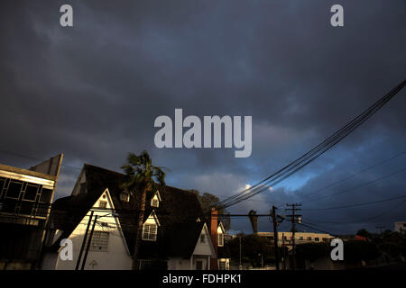 Tijuana, au Mexique. Jan 31, 2016. Un palmier est déplacé par les vents forts à Tijuana, le nord-ouest du Mexique, le 31 janvier 2016. Selon la presse locale, tempête avec pluie et vents forts frapper la péninsule de Basse-Californie du Mexique depuis le début de dimanche. © Guillermo Arias/Xinhua/Alamy Live News Banque D'Images