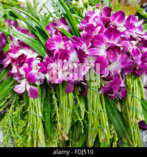 Orchidées en vente au marché aux fleurs Pak Khlong Talat. Bangkok, Thaïlande. Banque D'Images