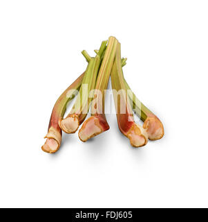 Très organique variété rouge rhubarbe isolated on white Banque D'Images