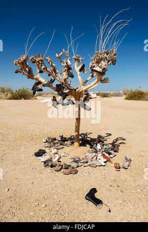 Le seul arbre dans Slab City, Californie Banque D'Images