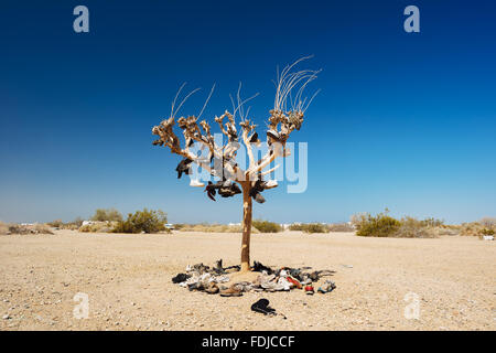 Le seul arbre dans Slab City, Californie Banque D'Images