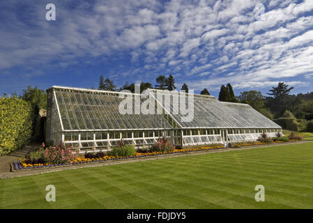 L'Orchard House at Cragside, Morpeth, Northumberland. C'est la plus grande serre, et date de 1870. Les arbres fruitiers sont dans les cultivars d'avant 1900 pour tenir compte de l'intérêt de l'époque victorienne dans la culture de fruits. Banque D'Images