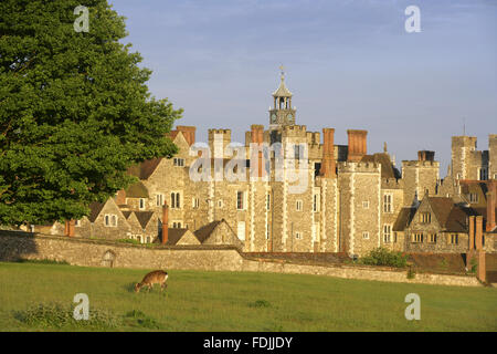 Le deerpark au premier plan à Knole, Sevenoaks, Kent. Banque D'Images