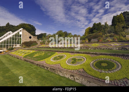 Mosaïcultures à côté de l'Orchard House at Cragside, Morpeth, Northumberland. La pierre-pans de lits en pente sont remplis de plantes à feuillage arrangé et clippés dans des motifs complexes. Banque D'Images