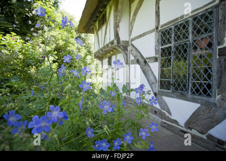 1 156 km Maison du clergé, xive siècle, Wealden hall maison dans un jardin de style cottage dans l'East Sussex. Banque D'Images