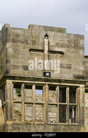 Fermer la vue de détails architecturaux sur la façade de l'hôtel de Gibside, Newcastle upon Tyne. La maison a été construite entre 1603 et 1620, mais le chemin de traverse avec d'énormes remplacé l'étage supérieur en 1805. Banque D'Images