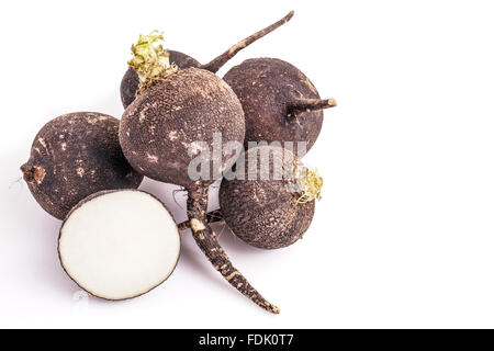 Pile de radis noir, une coupe et avec un fond blanc Banque D'Images