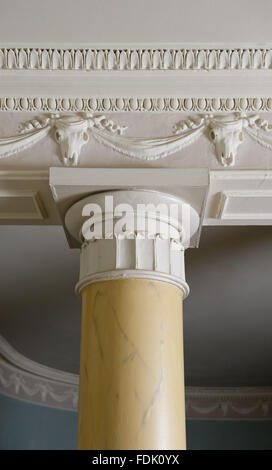 Fermer de la frise et une partie de la colonnes doriques, dans le hall d'entrée au parc de Newark, Gloucestershire. La frise est d'un bucrania ou ox-crâne, festons et garland design. Banque D'Images