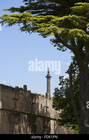 À la recherche sur les ruines de l'hôtel de Gibside construit entre 1603 et 1620, avec la 140 colonne pied à la liberté au-delà de la hausse à Newcastle Upon Tyne, The Green Lawns. Banque D'Images