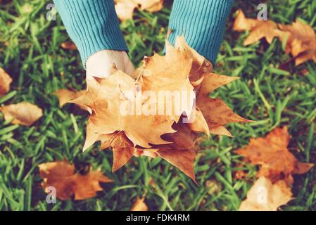 Mains tenant les feuilles d'automne Banque D'Images