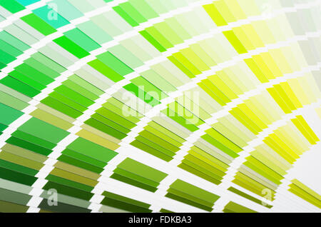 Les couleurs vert et jaune guide de ventilateur Banque D'Images