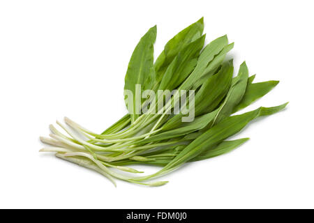 Ramson frais feuilles sur fond blanc Banque D'Images