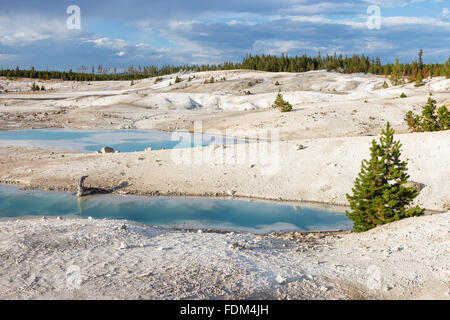 Dans le lavabo en porcelaine, Norris Geyser Basin, Parc National de Yellowstone, Wyomin, États-Unis d'Amérique. Banque D'Images