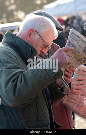 La lecture des journaux sportifs parieurs à fakenham races, North Norfolk, Angleterre Banque D'Images