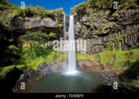 Le Kenya, l'Aberdare National Park, cascades de La Canée Banque D'Images