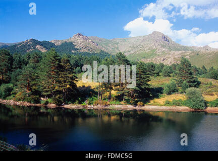 Réservoir dans le vallée de la Barranca. Le Parc National de la Sierra de Guadarrama, province de Madrid, Espagne. Banque D'Images