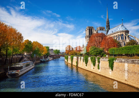 Cathédrale Notre Dame de Paris et de Seine Banque D'Images