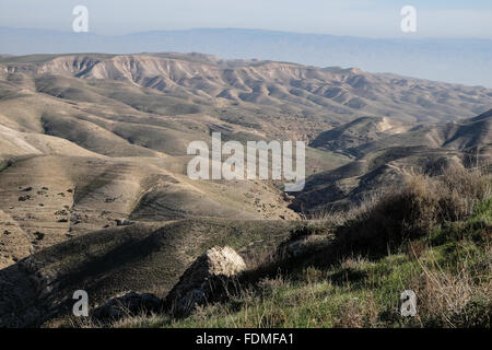 Kfar Adumim, Israël. 1er février 2016. Une vue de Wadi Qelt et la rivière de Prat Nofei Prat Kfar Adumim. Une tentative de boycott de chambre d'hôtes appartenant à des Israéliens en Judée et Samarie a commencé à se retourner contre les nouvelles inscriptions figurant sur Airbnb rapidement étant donné que les militants anti-Israël a attaqué publiquement le site d'inscription des biens au-delà de la ligne verte. Sites touristiques à travers la Cisjordanie ont signalé une augmentation massive du nombre de visiteurs au cours des dernières années. Credit : Alon Nir/Alamy Live News Banque D'Images